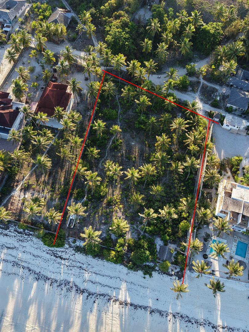 Exclusive Beachfront Plot for Sale in Bwejuu