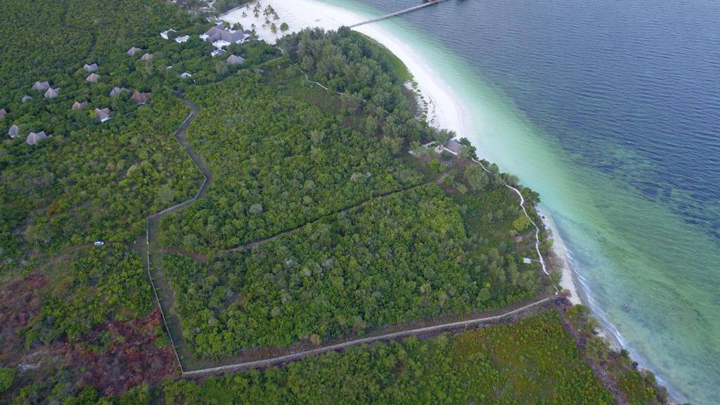 Magic Oceanfront Land For Sale