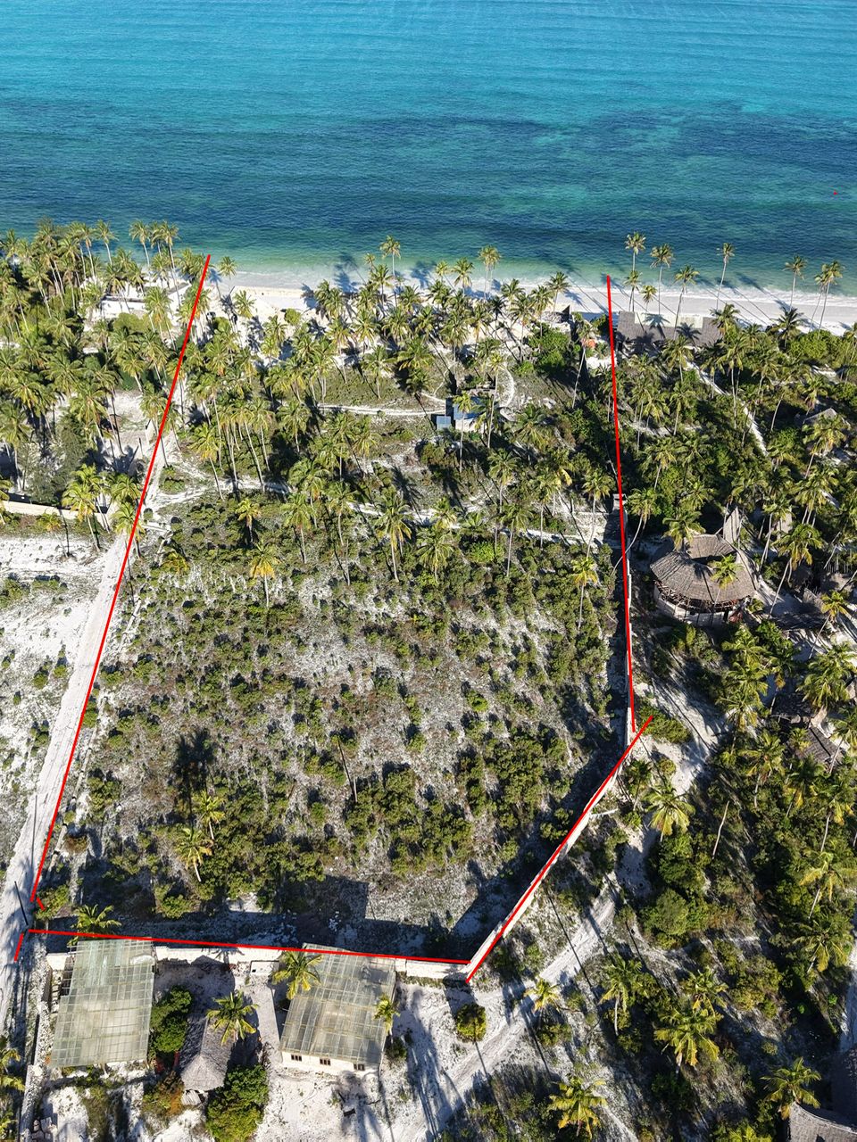 Expansive Palm-Filled Plot for Sale in Bwejuu